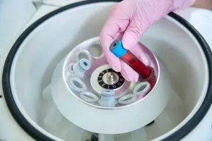 Blood being put in a centrifuge 
