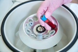 Blood being put in a centrifuge